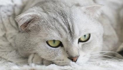 开启未来之门——kaiyun带来的全新体验