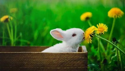 开启未来之门——kaiyun带来的全新体验